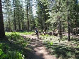 Tahoe-Adveventure-Co